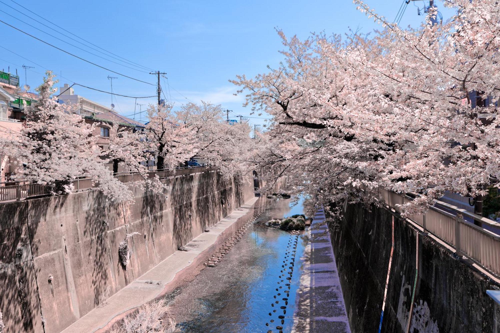 Calm Riverside Inn Close To Ikebukuro Prefektura Tokio Exteriér fotografie
